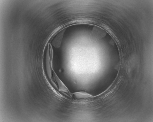 X0000056370853200509161852