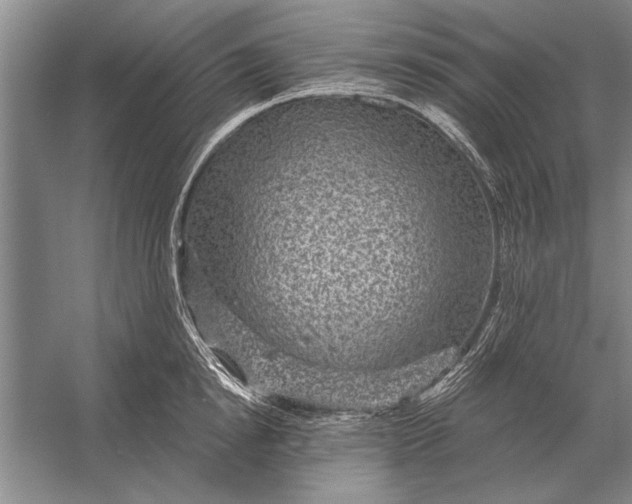 X0000056370854200509161852