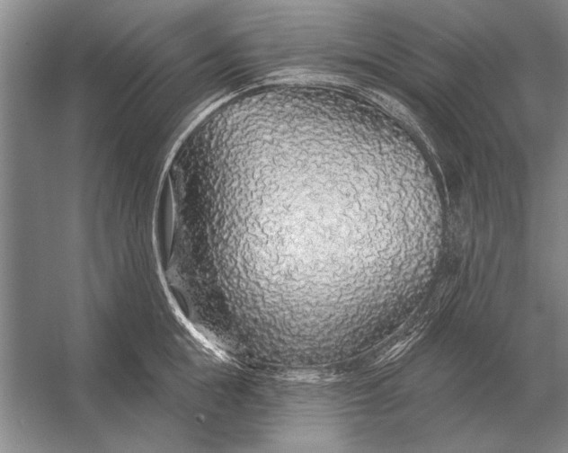 X0000056370855200509161852