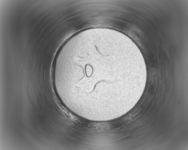 X0000056370856200509161852