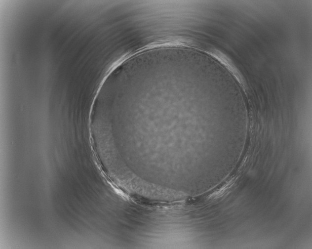 X0000056370858200509161852