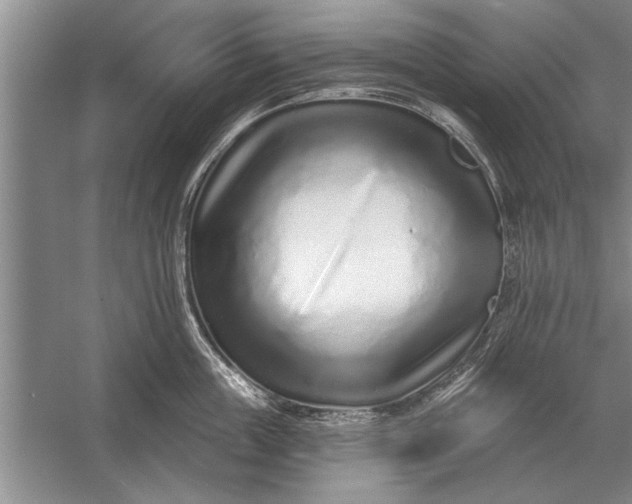 X0000056370859200509161852