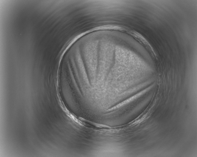 X0000056370860200509161852