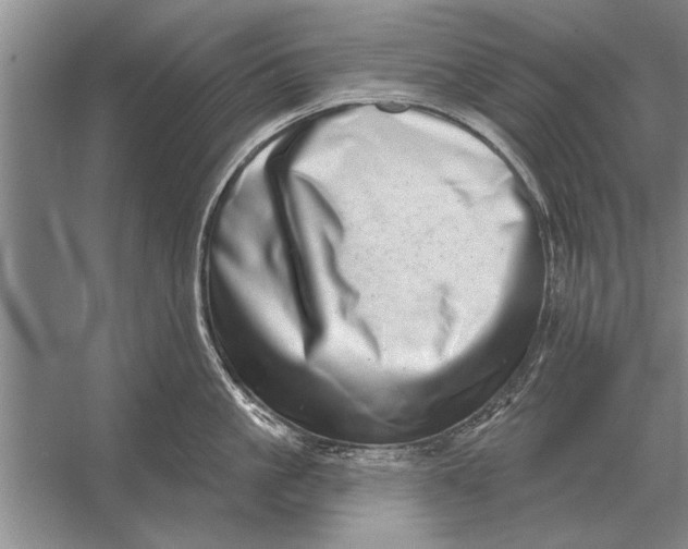 X0000056370861200509161852