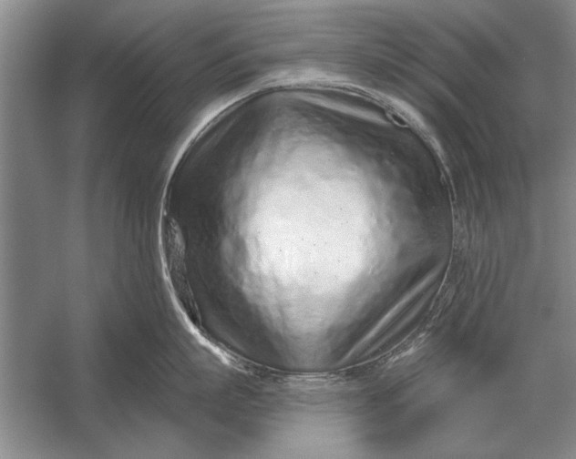 X0000056370863200509161852