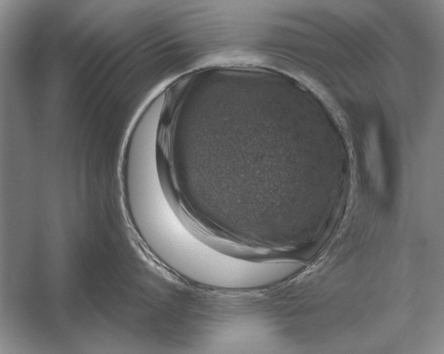 X0000056370864200509161853