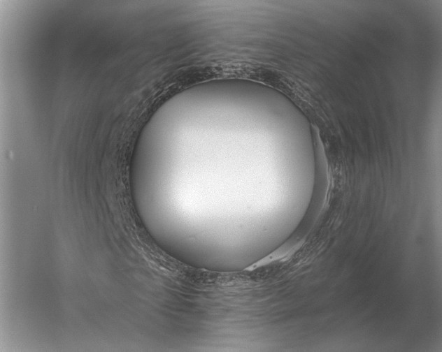 X0000056370865200509161852