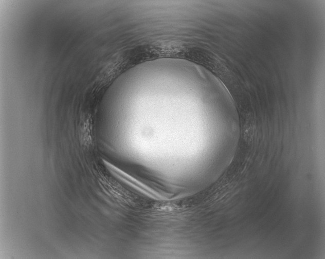 X0000056370866200509161852