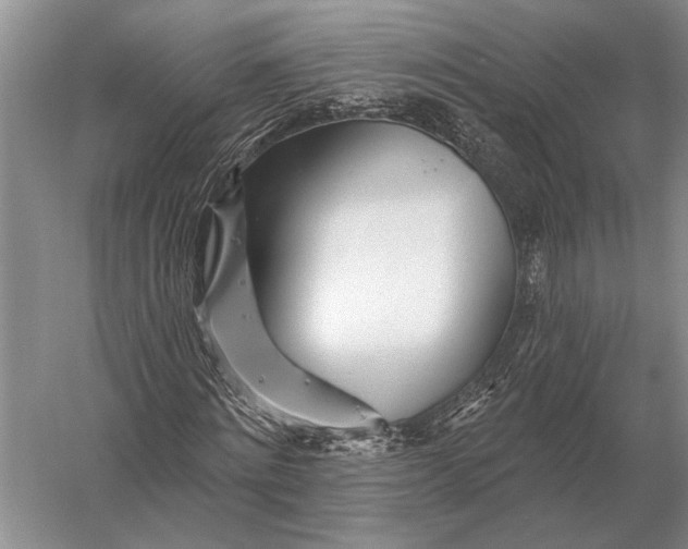 X0000056370868200509161852