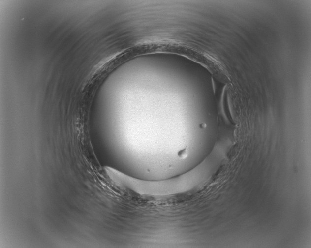 X0000056370872200509161852