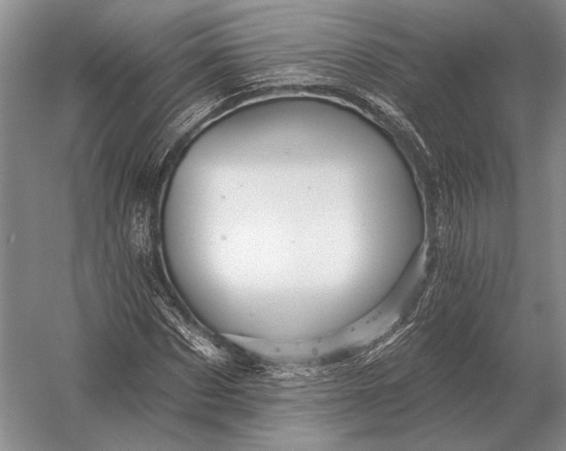 X0000056370873200509161852