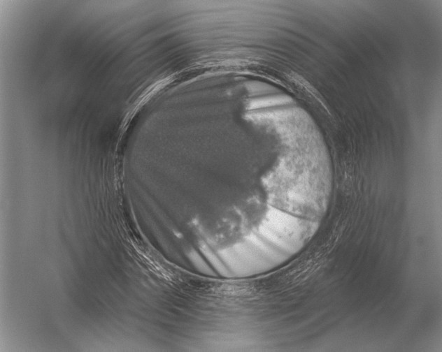 X0000056370874200509161852