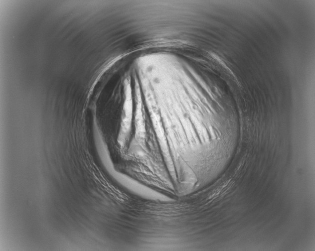 X0000056370875200509161852