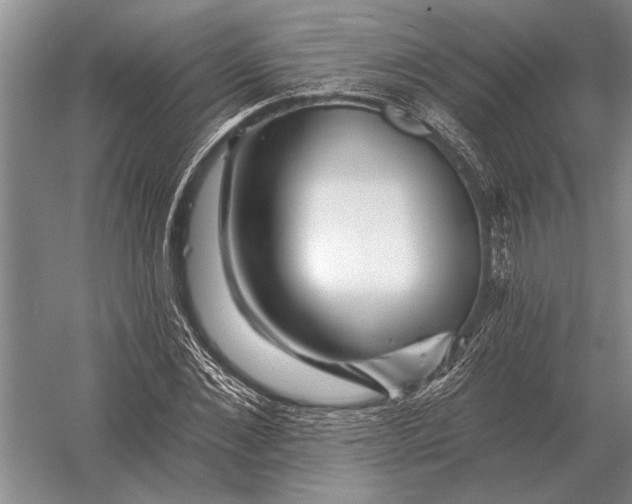 X0000056370876200509161852