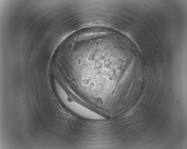 X0000056370879200509161851