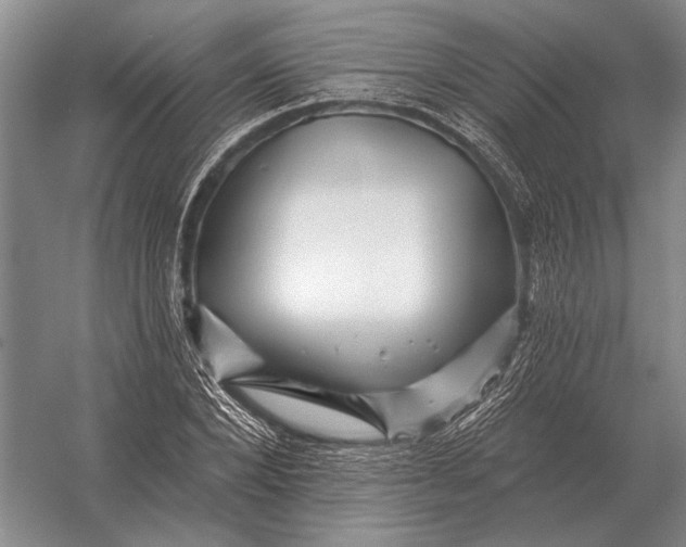 X0000056370880200509161851