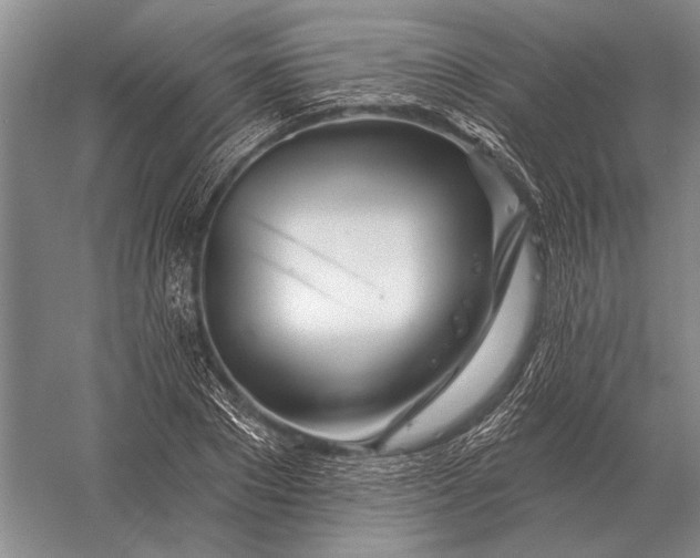 X0000056370881200509161851