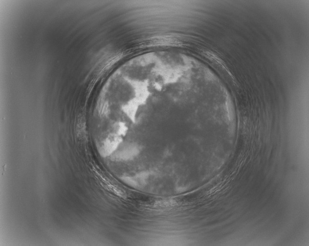 X0000056370882200509161851