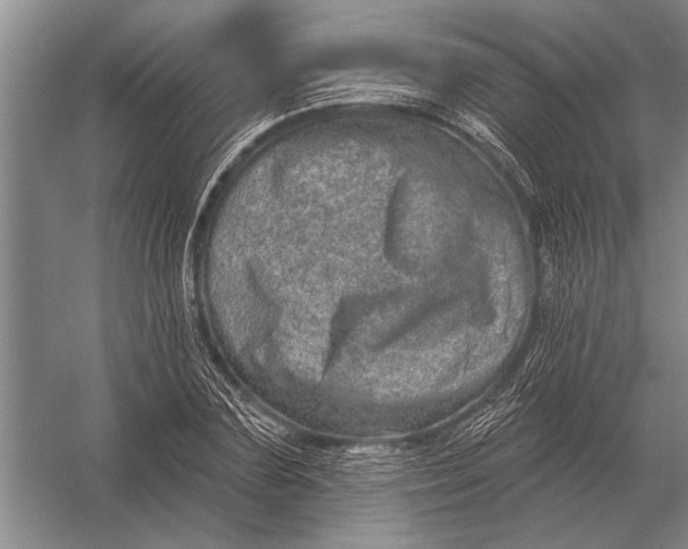 X0000056370883200509161851