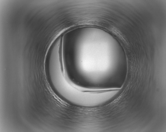 X0000056370884200509161851