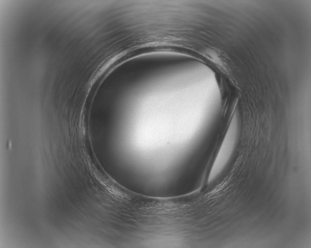 X0000056370885200509161851