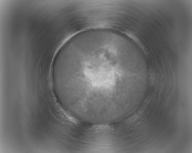 X0000056370886200509161851