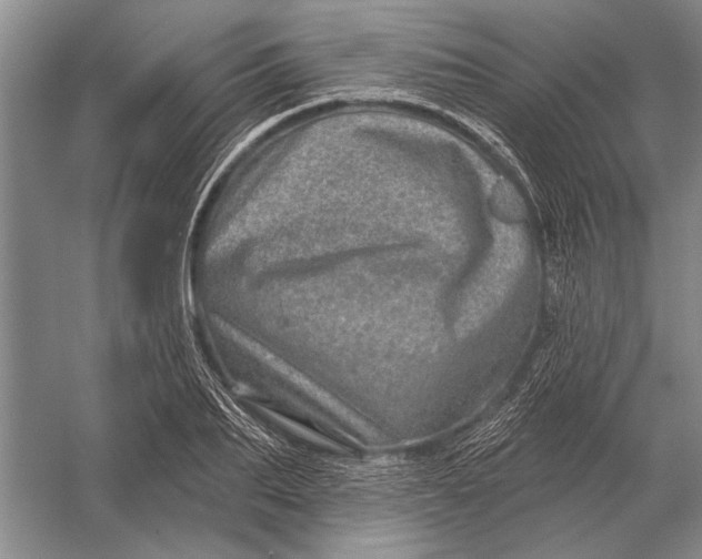 X0000056370887200509161851