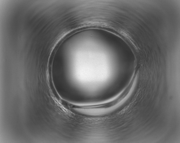 X0000056370888200509161851