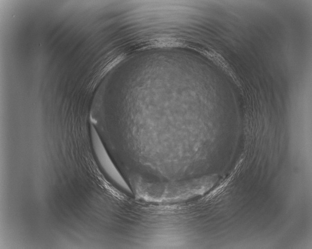 X0000056370889200509161851