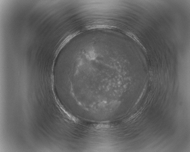 X0000056370890200509161851