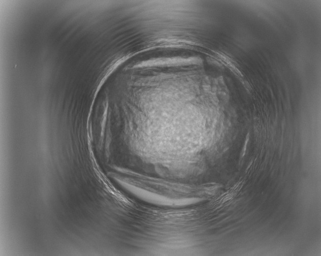 X0000056370891200509161851