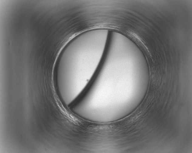 X0000056370892200509161851