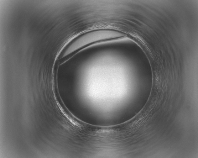 X0000056370894200509161851