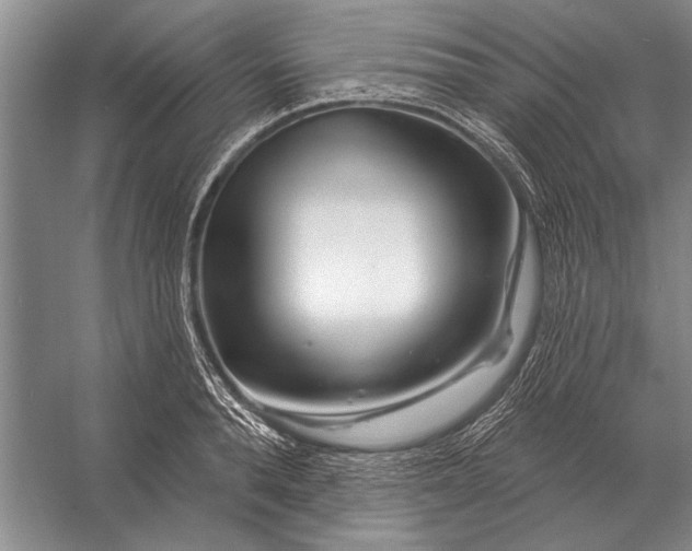 X0000056370896200509161851