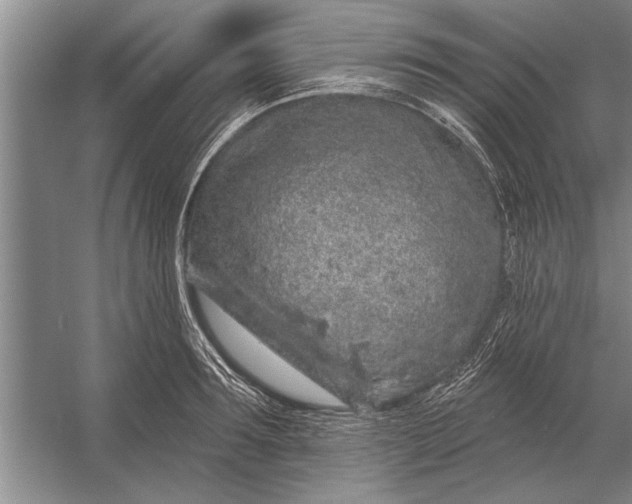 X0000056370899200509161851