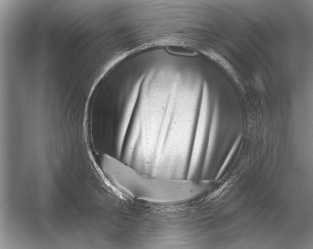 X0000056370902200509161851