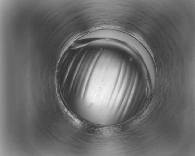 X0000056370906200509161851