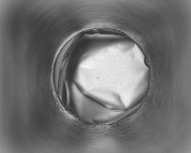 X0000056370912200509161851