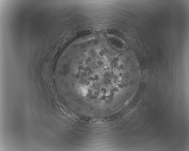 X0000056370913200509161850