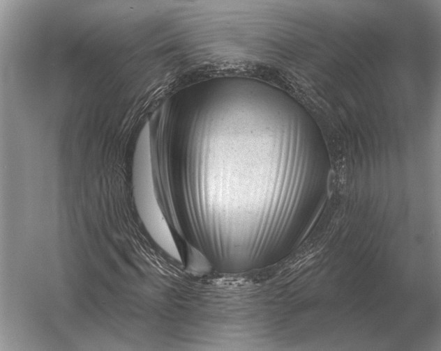 X0000056370916200509161850