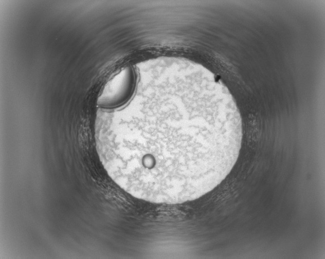 X0000056370918200509161850