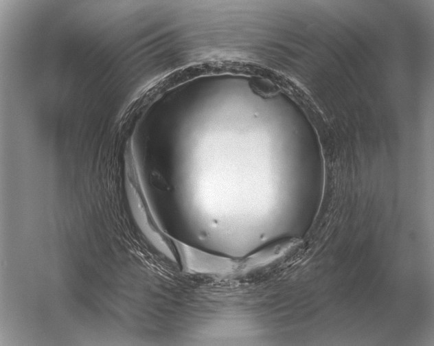 X0000056370919200509161850