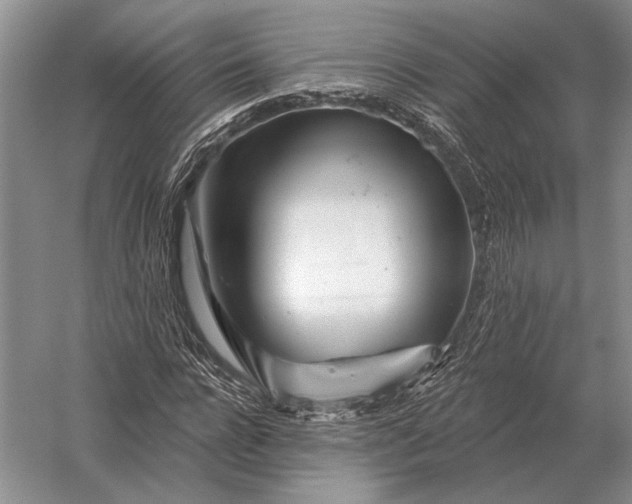 X0000056370920200509161850