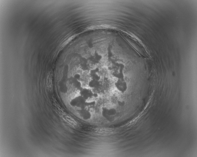 X0000056370921200509161850