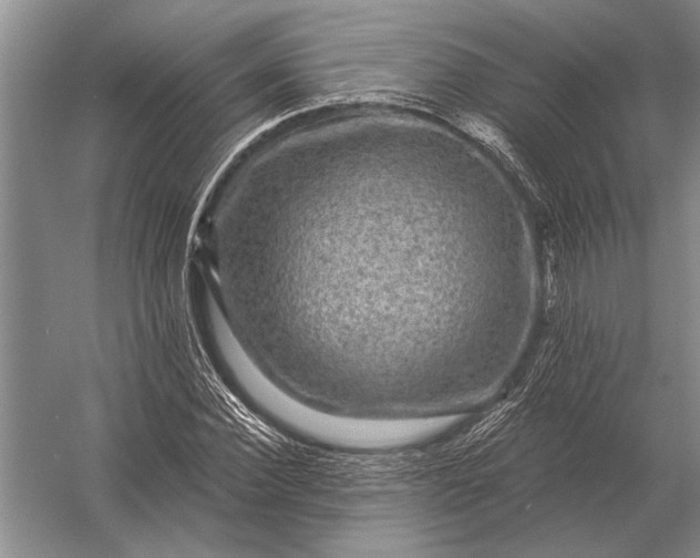 X0000056370924200509161850