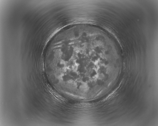 X0000056370925200509161850