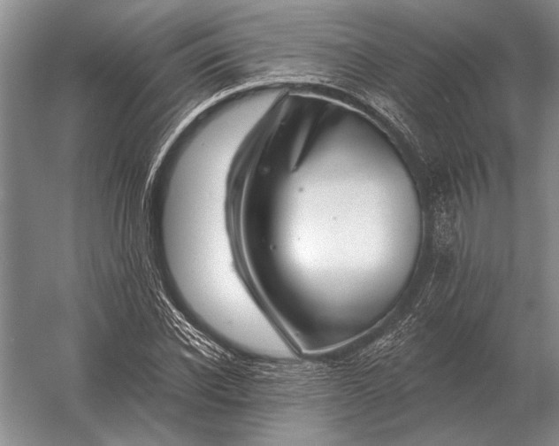 X0000056370926200509161850