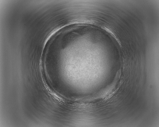 X0000056370928200509161850