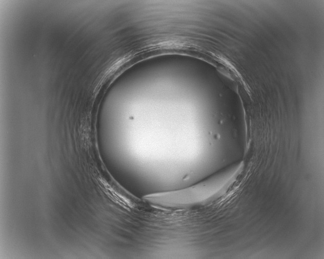 X0000056370930200509161850