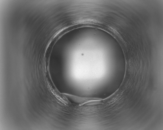 X0000056370931200509161850